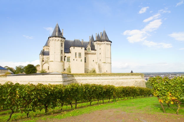 Um dos châteaus da região do Loire, na França
